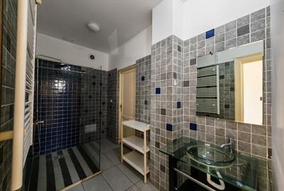 Apartament cu 4 camere decomandat, mobilat în Clucerului - 8