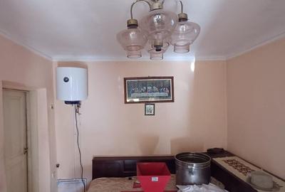 Casa sat NEDELEA + teren 2660 mp - 8