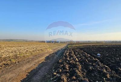 Teren de 6100 mp, în Stroiești - 3