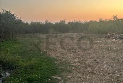 Casa in Cauasd la pret de teren - 3