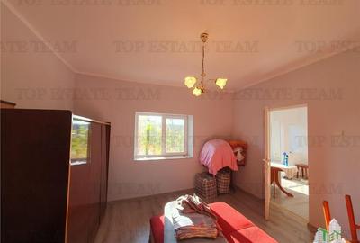 Casa renovata extinsa si teren  5470 mp Pantelimon Jud Constanta - 7