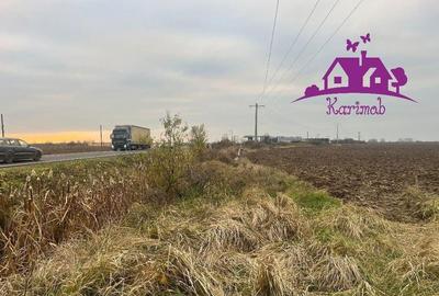 Teren pentru hale soseaua Nojorid Les - 2