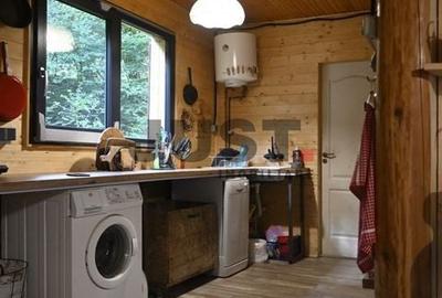 Problema e orașul. Soluția: un pârâu în curtea ta. Casa/Cabana Valea Fericirii - 7