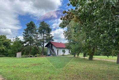 3.7 ha TEREN INTRAVILAN cu CASA si BALTA PESTE - 5