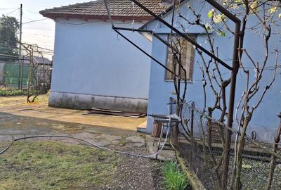 Casă cu 3 camere în Central - 1