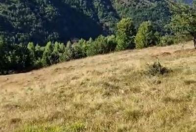 Spațiu comercial, în Central - 2