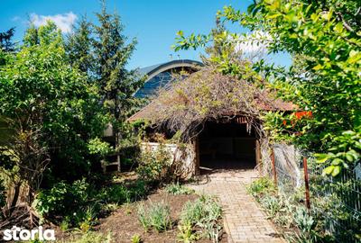 Casă cu 3 camere cu Teren 732 Mp în Central - 4