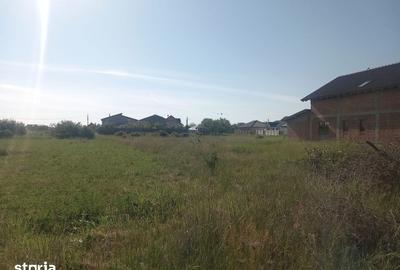 Teren de 1200 mp, în Frumușeni
