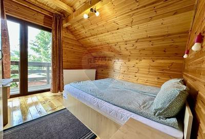 Pensiune/Cabana de vanzare, 6 camere, in Belis, Balcesti - 13