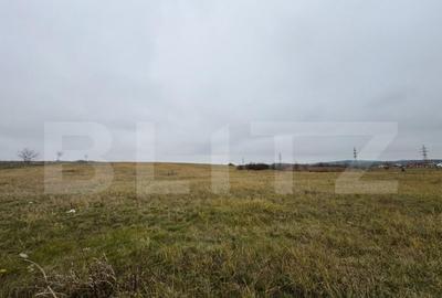 Teren intravilan in Pricaz 4416 mp - 2