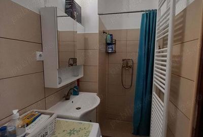 Apartament cu 2 camere semidecomandat în Sighișoara - 10
