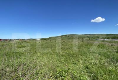 Teren Intravilan zona Industriala - 1