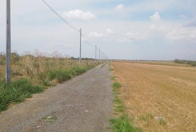 Teren Construcții intravilan de 441 mp, în Vidra - 2