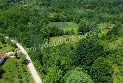 Teren de 20698 mp, în Valea lui Enache - 7