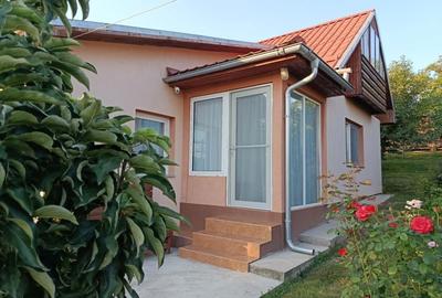 Casă cu 2 camere în Cămărașu - 3