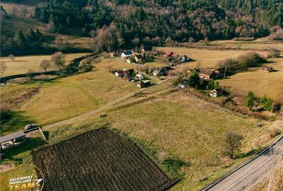 FILM! Teren cu potential, 6.700 mp, langa drumul principal, - 15