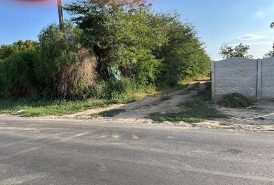 Teren în Cazasu - 6