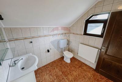 Vila de vanzare cu potential turistic - Valea Mare Pravat - 19