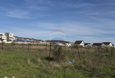Teren de 4862 mp, în Bordei - 3