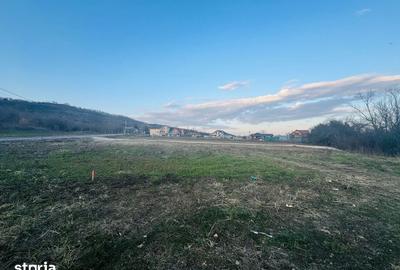 Teren de 658 mp, în Podgoria - 1