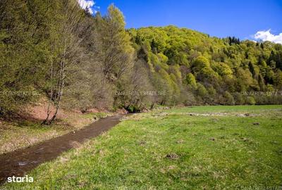 Spațiu comercial, în Central - 10