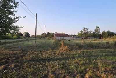 Teren intravilan în localitatea Berini - 8