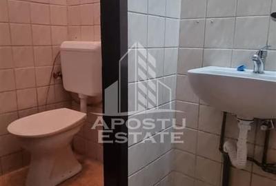 Spatiu birouri sau comercial in localitatea Pancota - 12