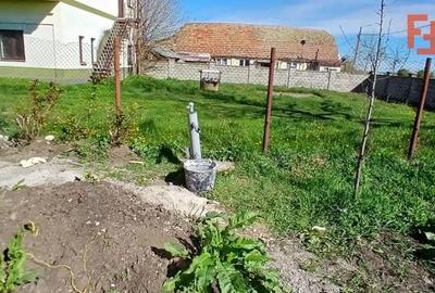 Casă cu 4 camere cu Teren 1000 Mp în Dudeștii Noi - 1
