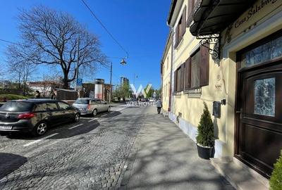 Oportunitate investitie, central , cu pivniță și pod