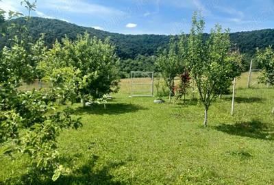 Casă cu Teren 400 Mp în Central - 5