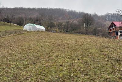 Spațiu comercial, în Șuncuiș - 4