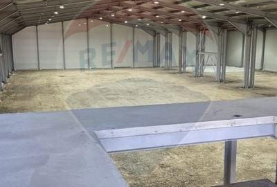 Spațiu industrial, de 2,645 mp, în Balotești - 17