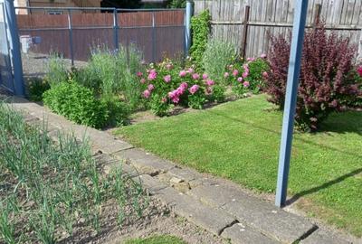 Casa 3 anexe Sacele ultracentral - 6