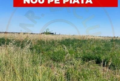 Teren intravilan 8.973 mp Loc. Albota -RESTAURANT LUXOR Arges