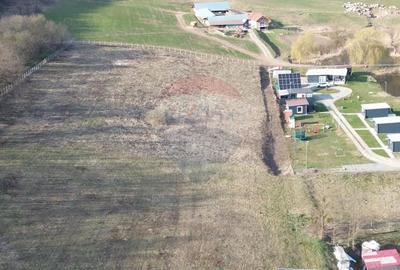 Teren de 7000 mp, în Hoghilag - 12