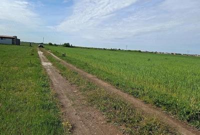 Teren de 805 mp, în Moșnița Veche
