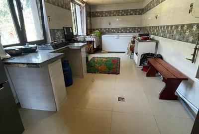 Casa individuala Brancoveanu- Nitu Vasile-INVESTITIE - 10