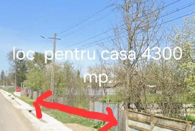 Casă cu Teren 6250 Mp în Filipești - 2