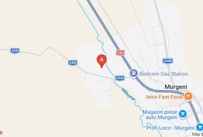 Teren agricol extravilan de 60047 mp, în Murgeni - 1
