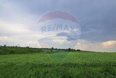 Teren Ciolpani 15.000 mp oportunitate posibilitate lotizare 5000 mp - 2