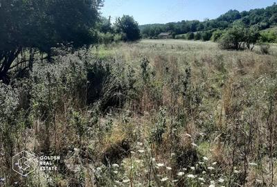 Teren de 3699 mp, în Central - 3