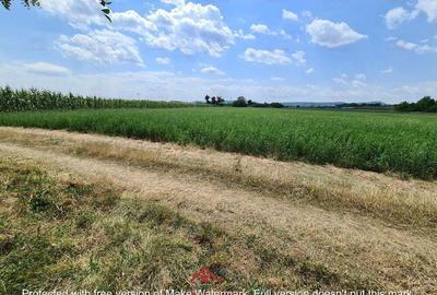 Teren intravilan in Urleta 5300mp--45.050e - 5