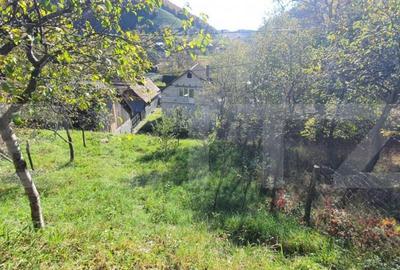 Casa P+M de aprox.140 mp, cu 10 ari livada de pomi si 1,5ari - 2