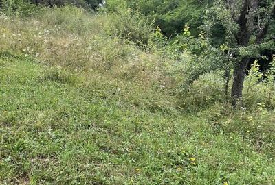 Teren de 4000 mp, în Cetățeni - 5