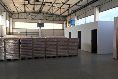 Spațiu industrial, de 680 mp, în Someșeni - 11