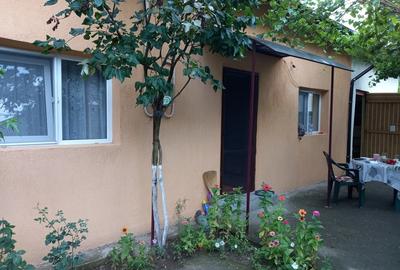 Casă cu 2 camere în Roșiori de Vede - 8