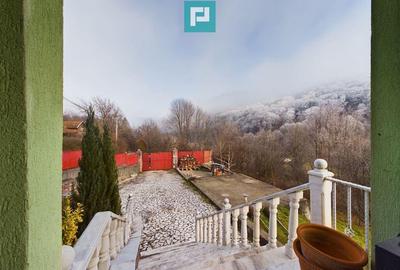 Casă cu 7 camere cu Teren 1810 Mp în Moneasa - 9