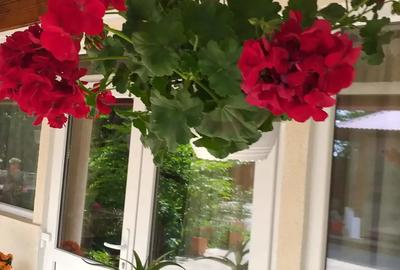 Vind duplex in cordun centru - 4