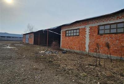 Teren Construcții intravilan de 57662 mp, în Popeni - 18