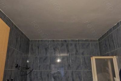 Apartament cu 2 camere în Govândari - 6